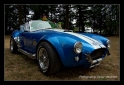 Cobra replica-9.png